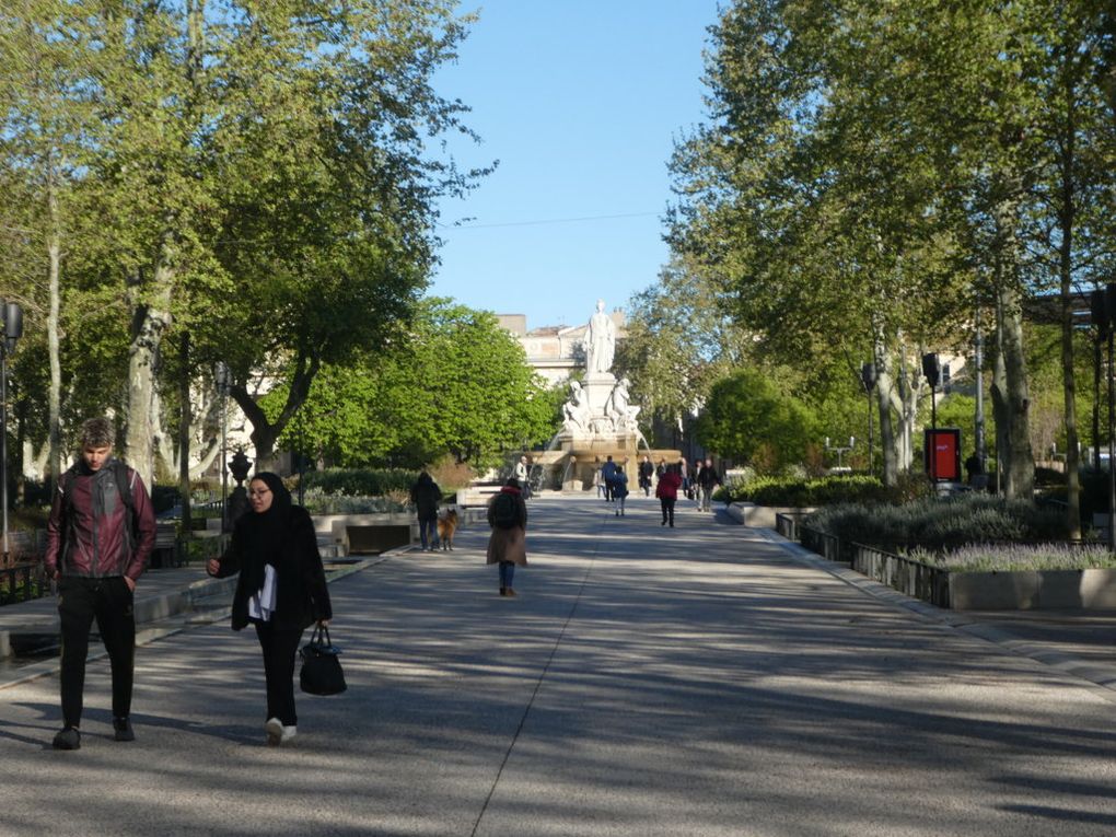 Rando culturelle 06/04/2019-Nimes