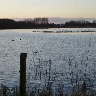 Transition - Übergang