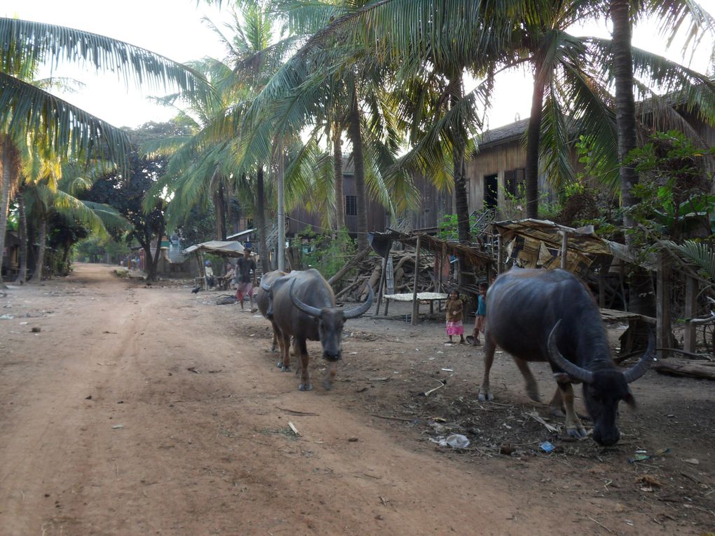 Album - cambodge-3