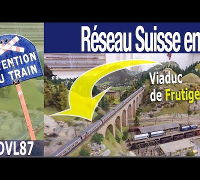 Vidéo du réseau en N de Michael Schiepan