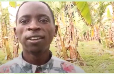 Repenser l'alimentation « de la ferme à la table » dans l'UE : une victoire pour la science, les agriculteurs et l'avenir de l'Afrique
