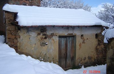 Janvier(s) en Kabylie