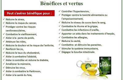 Fiche produit du IasoTea