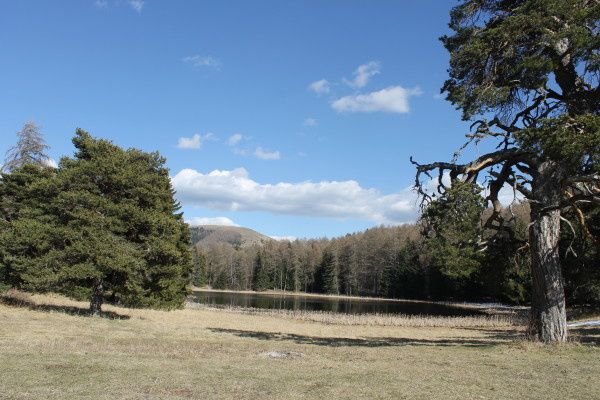 Promenade de la semaine