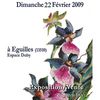 Second Salon de l'Orchidée à Eguilles