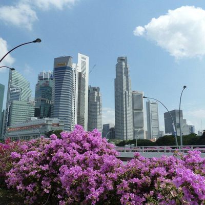 Singapour : Rules city