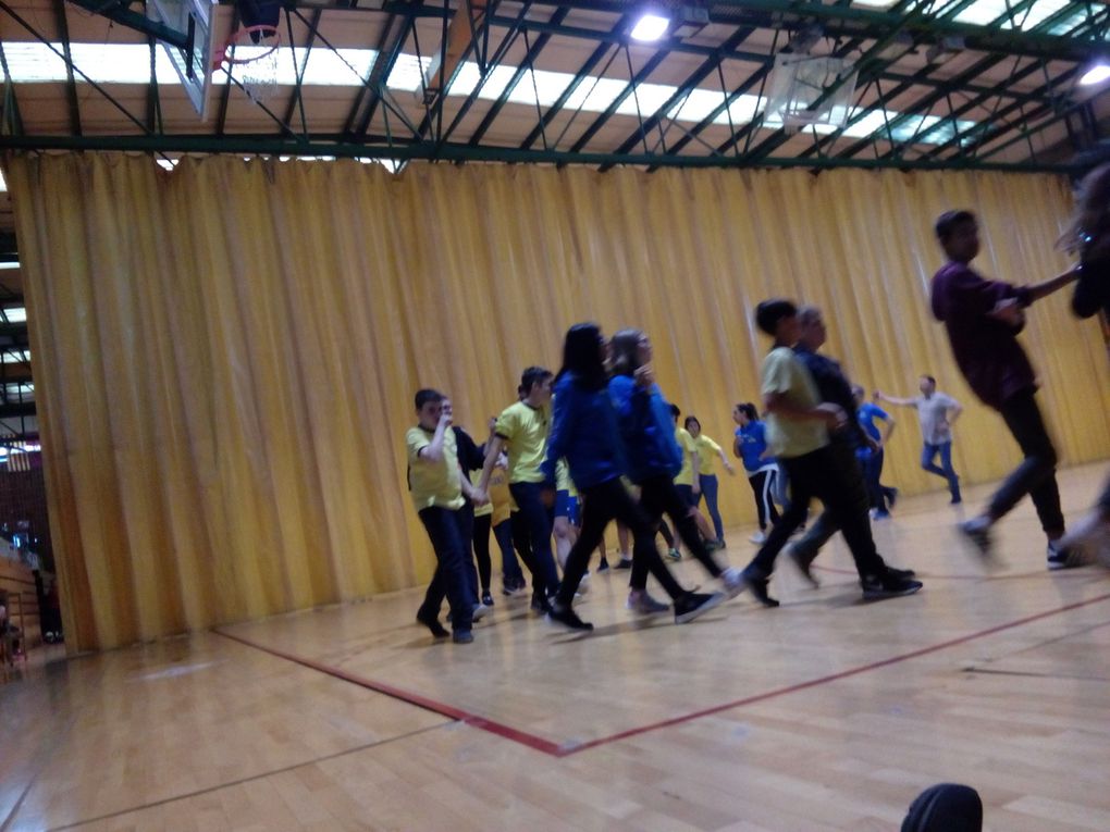 Intercanvi escolar a Lleida amb un taller d'iniciacio a la sardana