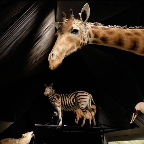 Sorties Gratuites Ou Pas Cheres Avec Les Enfants A Lyon Lucky Sophie Blog Famille Voyage