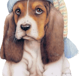 Chiot - Bonnet de nuit - Gif animé - Gratuit