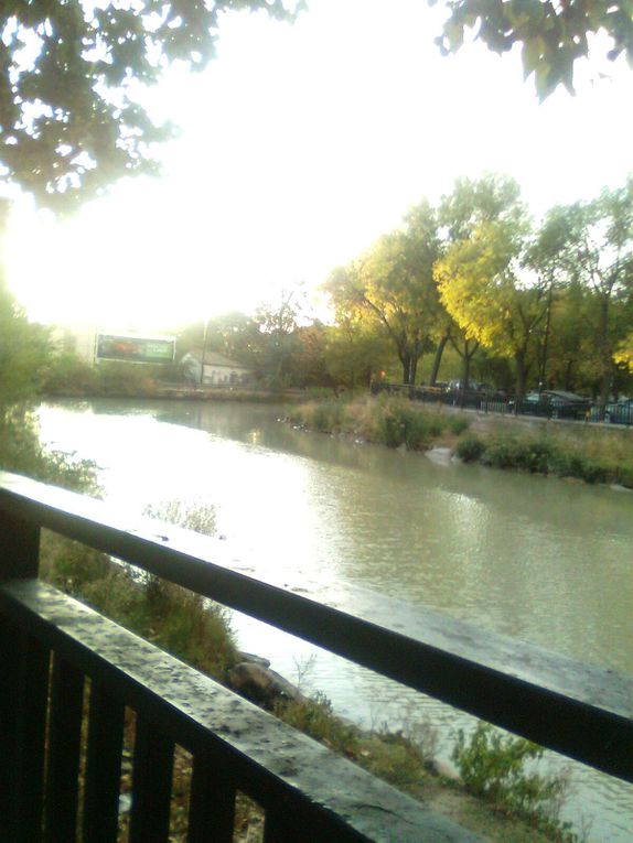 Album - Paseo-del-Canal--Zaragoza-