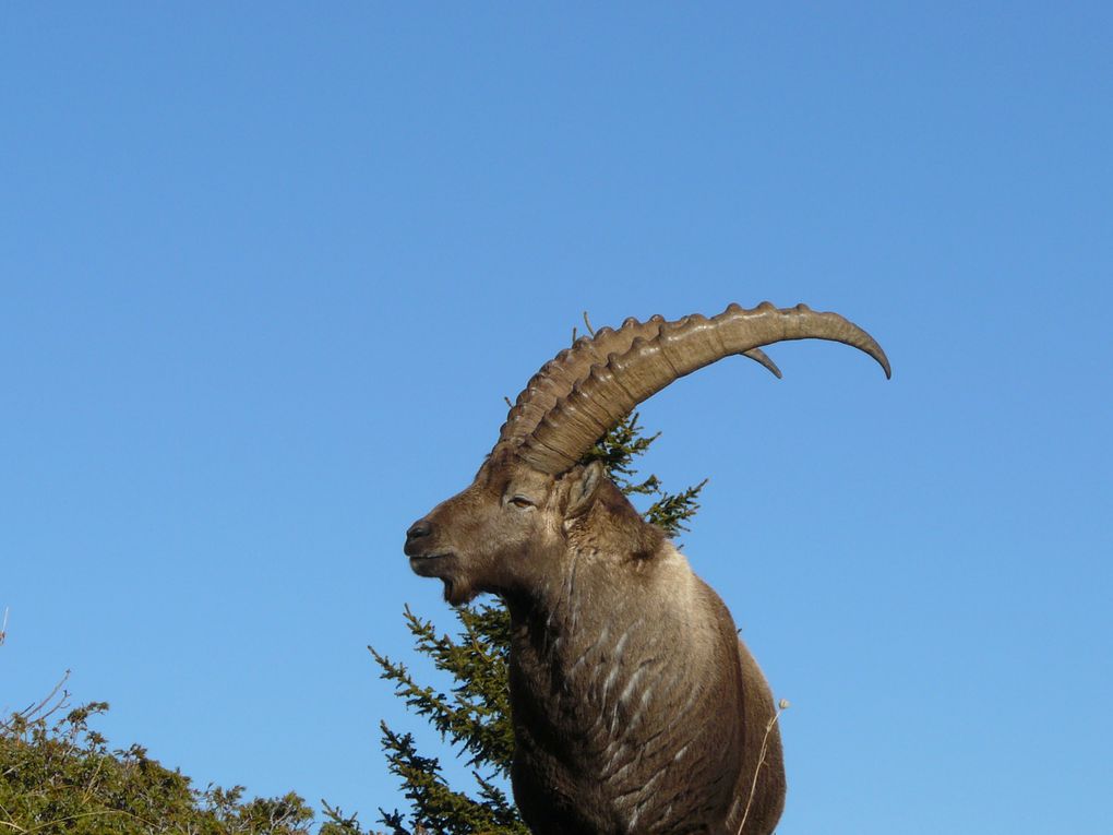 Album - beautés-de-la-nature