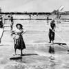 Le saline di Sicciole