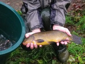 Le Pêcheur Barbezilien donne un coup de pouce au milieu aquatique !