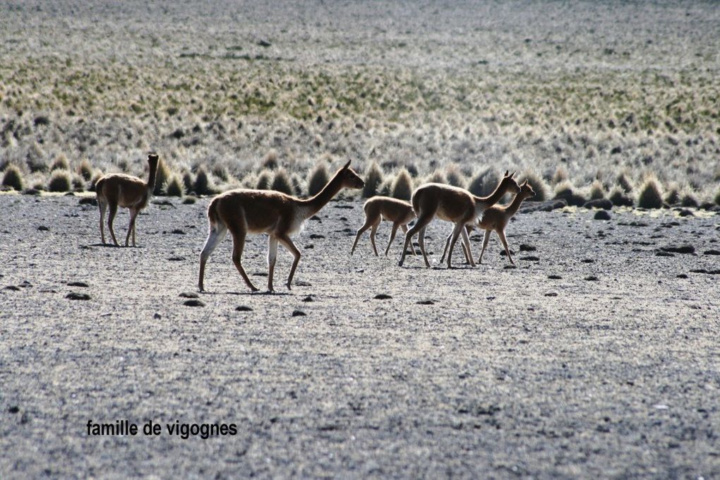 Album - voyages Bolivie