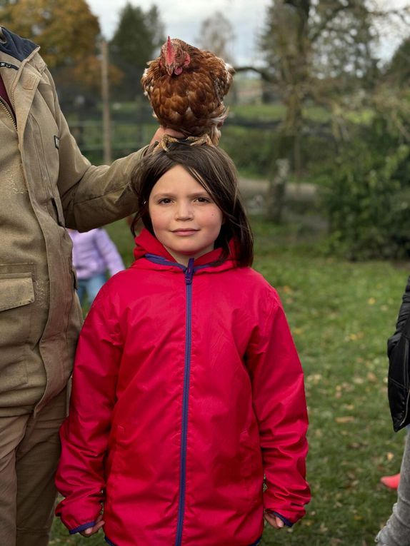 Ce matin nous avons nourri les moutons et cuisiné une recette typique. Cette après midi petite visite des animaux de la ferme. Les oiseaux  Et ensuite fabrication d’un attrape rêves et dégustation de nos rabottes ( spécialité ardennaise )