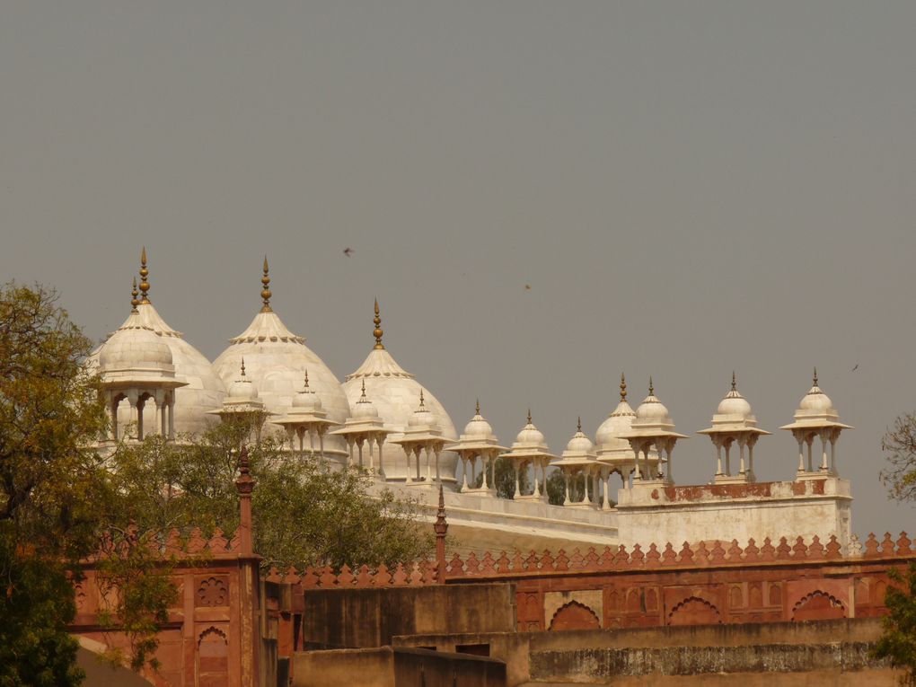 Album - AGRA-et-le-TAJ-MAHAL