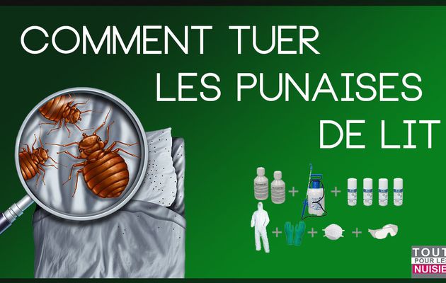 Tuer punaise de lit