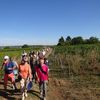 La balade des vignerons 2018 à Châteaumeillant