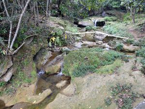 Première étape dans la descente vers la cascade. 