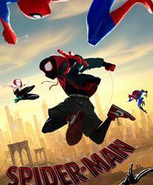 Ver Spider-Man: Un nuevo universo 2019 pelicula completa online Español HD