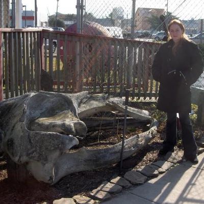 Laure devant les restes d'une baleine echouee dans le NEW JERSEY en 1992