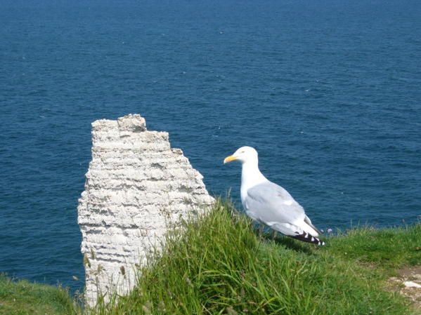 C'est mon ptit coin de paradis à moi!!! allez je le partage avec vous....