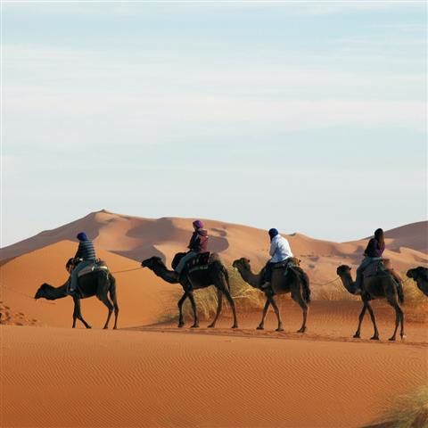 Voyage d'odeurs et de saveurs, de rencontres et d'horizons minéraux...