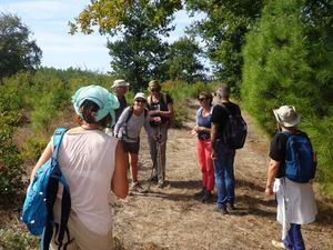 promenade n° 28 de Septembre/Octobre 2018 : LANDES, Moustey, Pissos, Sore.