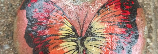 Trouve mon galet : un papillons pour le jardin des Nemusiens 