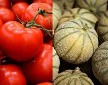 Tomates et melons : enquête qualité et prix