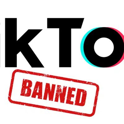 TikTok et les Enseignants : Un regard critique