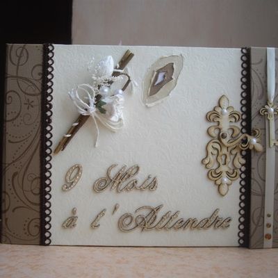 Un album de grossesse