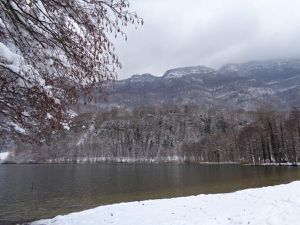 Les lacs sous la neige.