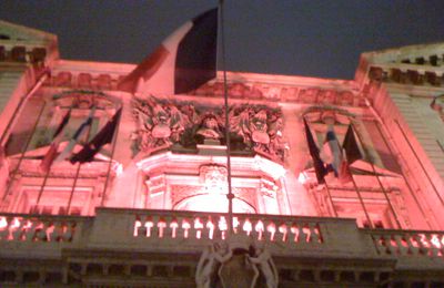      Les membres du parlement du printemps marseillais appellent au rassemblement 