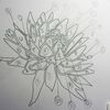 1-Dahlias de Cap créatif