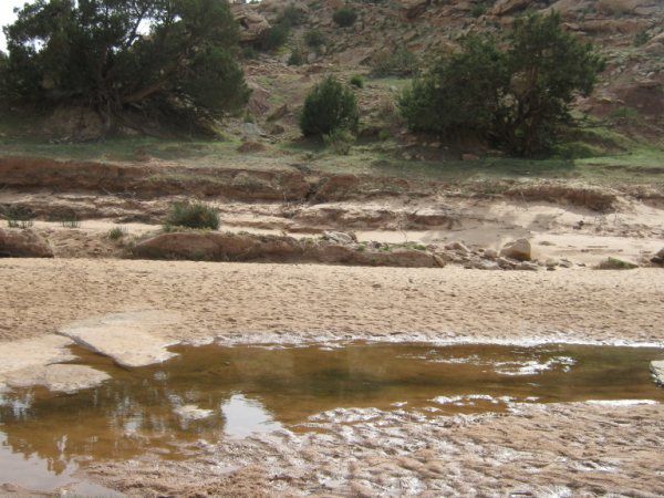 PHOTOS D'EL GHICHA (AFLOU-Laghouat)