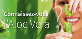 Venons tous à la rencontre de l'ALOE VERA