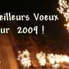 Bonne année 2009