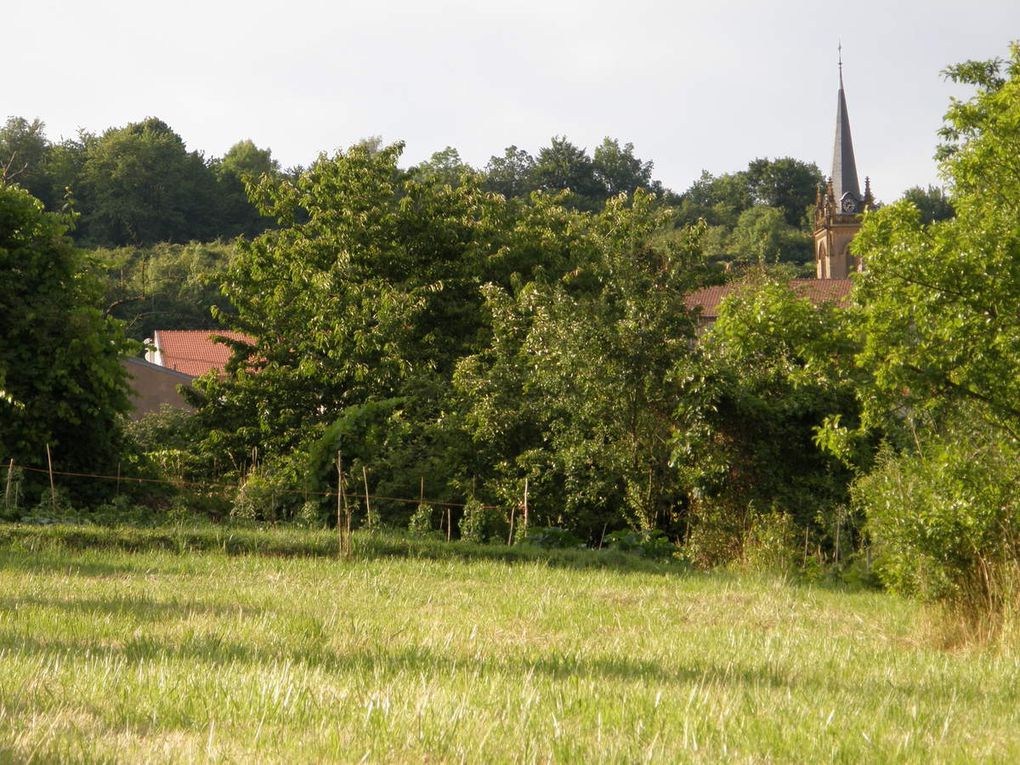 L'église - l'ancien prieuré devenu la nouvelle mairie - le lavoir - la campagne environnante, les animaux, les saisons...