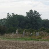 Les alignements de menhirs de La Madeleine - Voyages, escapades, randonnées