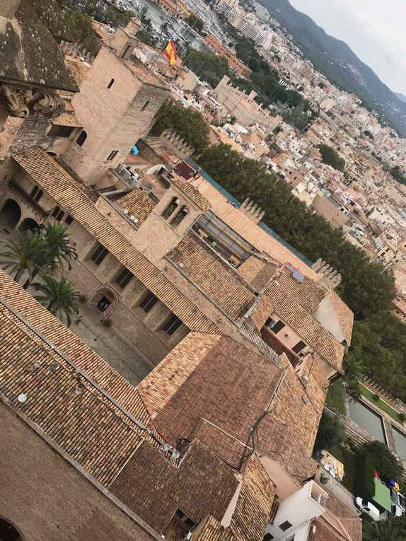 Les terrasses de la Seu, cathédrale de Palma 