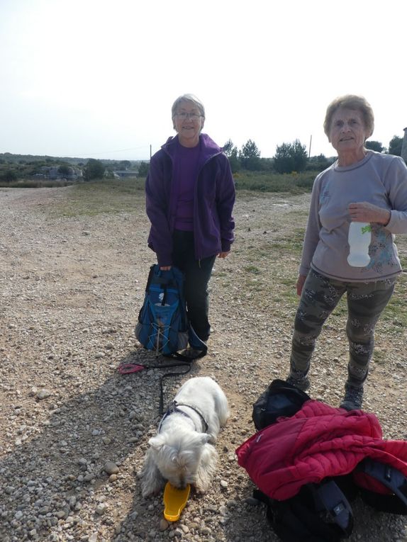 Rando du 4/03/2019 Carrieres de Baou Talla