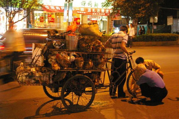 Album - Guilin