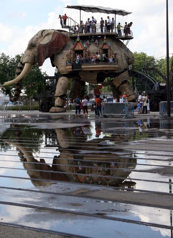 Eléphant de l'Ile de Nantes Royal de Luxe - Photos Thierry Weber Photographe La Baule Guérande