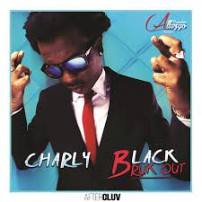 Charly Black - Bruk Out (Official lyrics video) PROMO