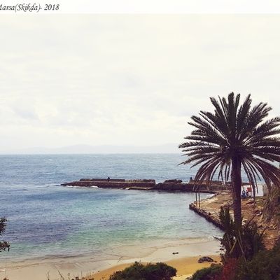  Photo du jour...Le Port Romain de La Marsa (ex Calcitanis) dans la Wilaya de Skikda.
