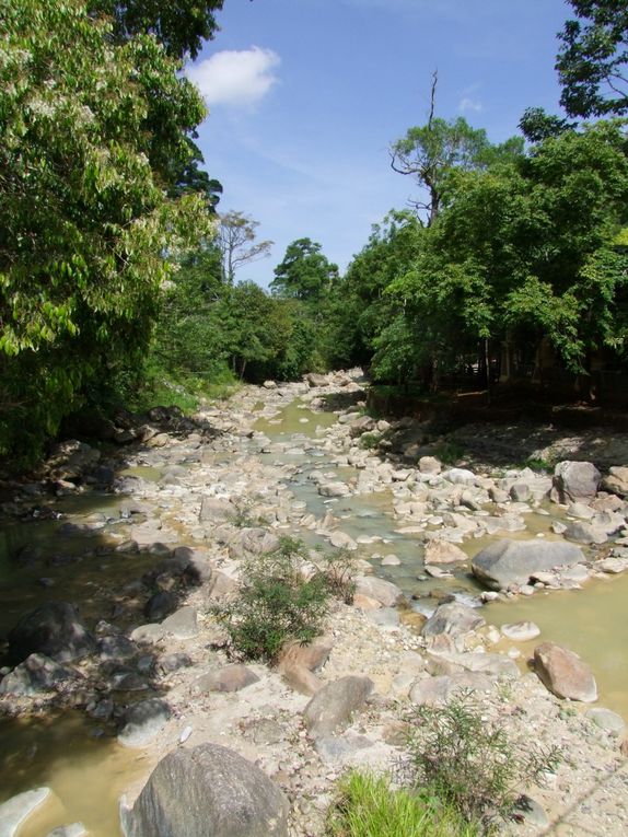 Album - Ranong-Songkran-2009