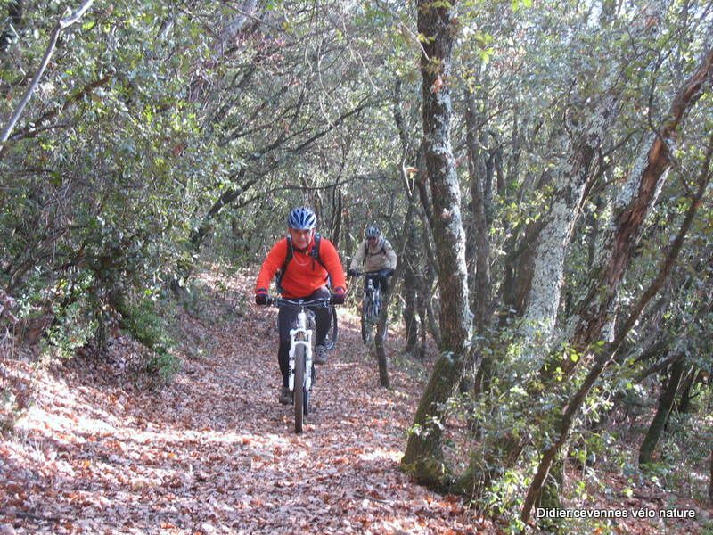 Album - Sorties Cévennes Vélo Nature en 2012