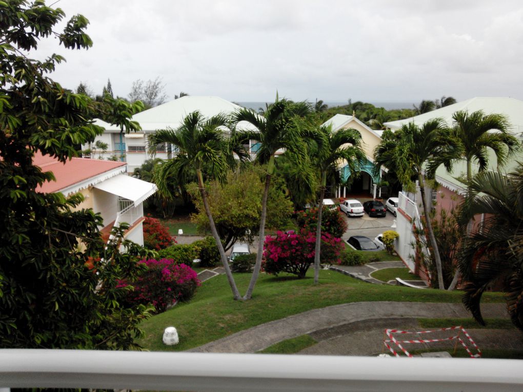 SAINT-FRANCOIS GUADELOUPE - RESIDENCE ANSE DES ROCHERS - STUDIO DE STANDING 814 