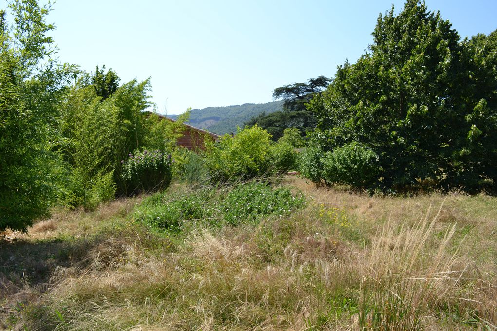 Voici un aperçu de notre terrain.
Le plus dur est qu'il va falloir sacrifier des arbres pour y implanter la maison.
Nous avons plusieurs figuier, 2 tilleuls, 1 cèdre....